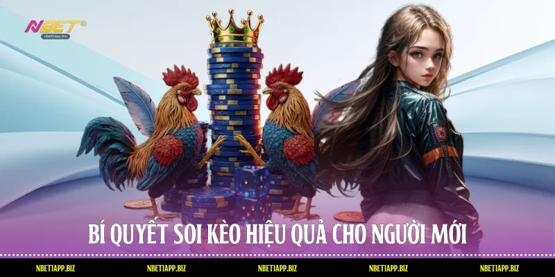 Bí quyết soi kèo hiệu quả cho người mới