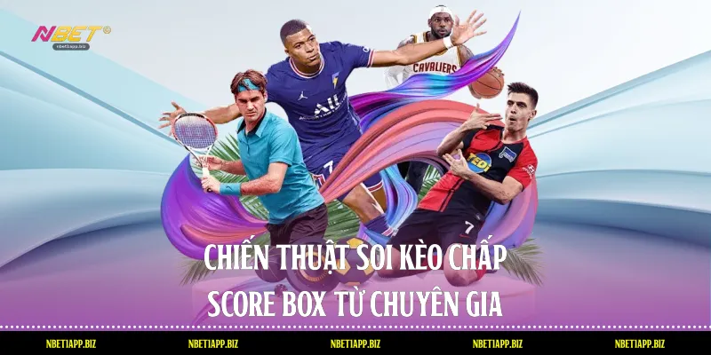 Chiến thuật soi kèo chấp score box từ chuyên gia
