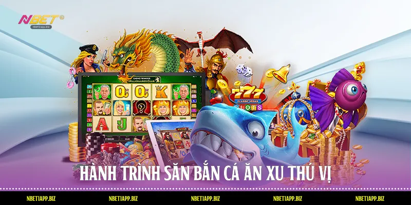 Hành trình săn bắn cá ăn xu thú vị