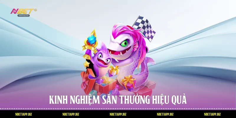 Kinh nghiệm săn thưởng hiệu quả