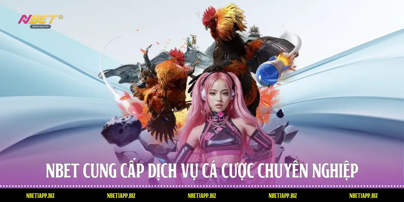 Nbet cung cấp dịch vụ cá cược chuyên nghiệp